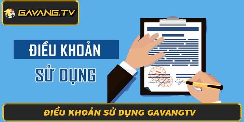 Chính sách về các quy tắc sử dụng tại website GAVANGTV