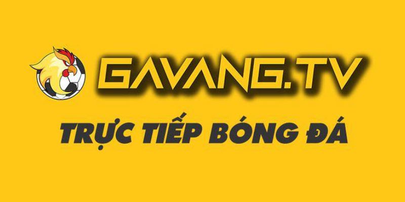 Về chúng tôi GavangTV và một số tính năng trang web