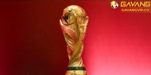 Những điều có thể bạn chưa biết về FIFA World Cup